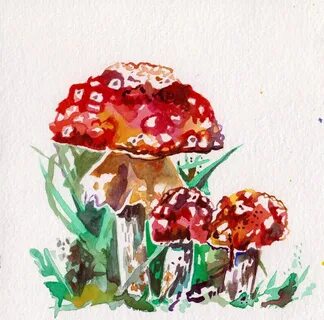 Рисуем грибы акварелью