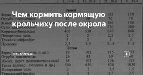 Чем кормить кормящую крольчиху весной
