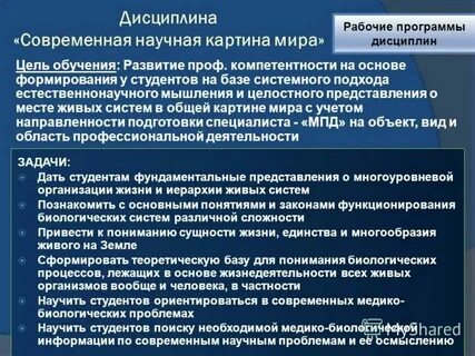 Укрупненную группу специальностей образование и педагогические науки