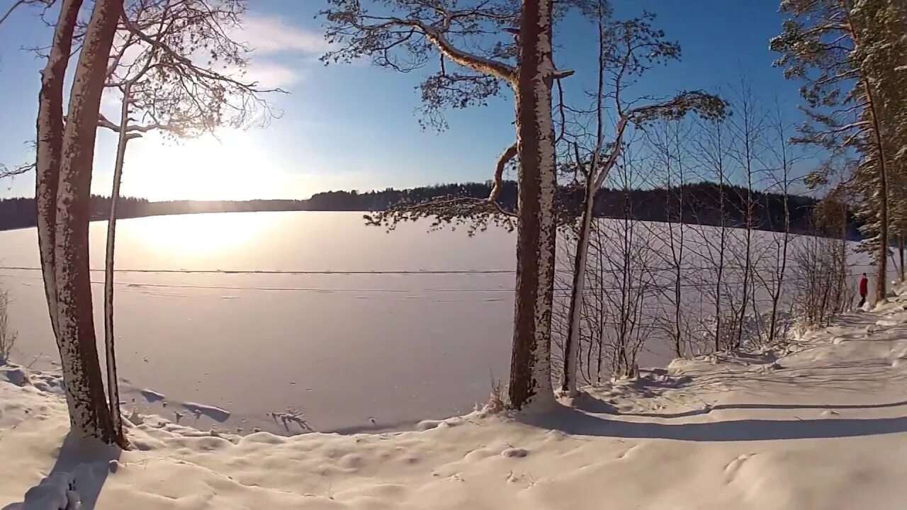 Саперный в приозерском районе