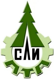 Сли н