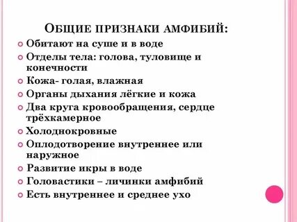 Какой признак не характерен для анемофильных