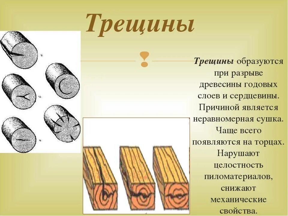 Трещины образующиеся. Ройки порок древесины. Пороки строения древесины Крень. Пороки древесины дефекты древесины. Гребешок порок древесины.