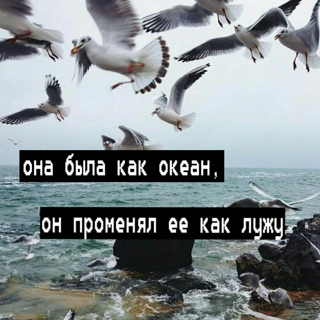 Я судьбу променял на любовь. Она была как океан а он променял её на лужу. Променял мой акиян на лужу. Есть люди океаны а есть люди лужи. Она была как.