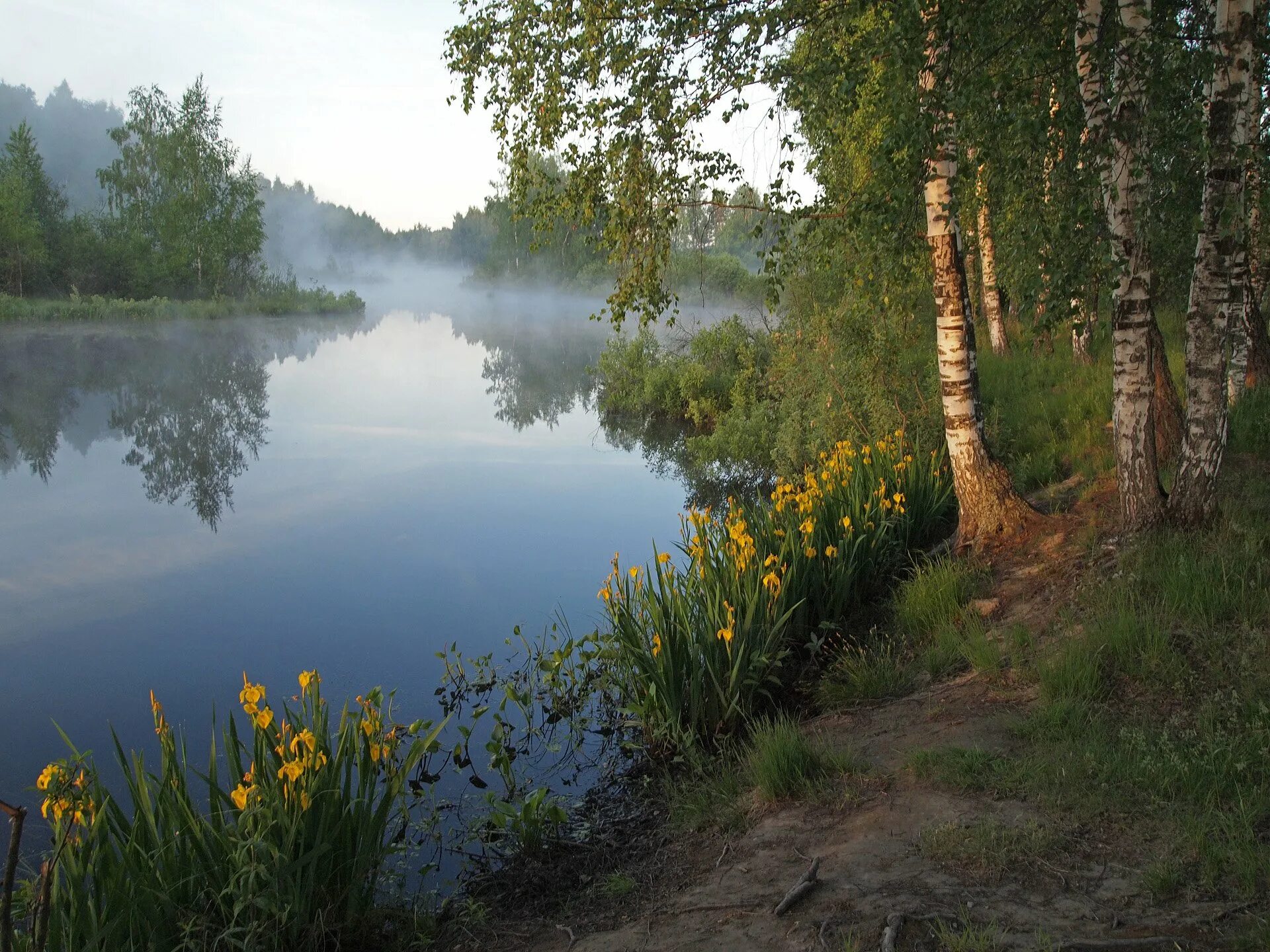 Природа родного края. Удмуртия холмистая равнина. Родной край. Родной край ивановская область. Запрудка кохма.