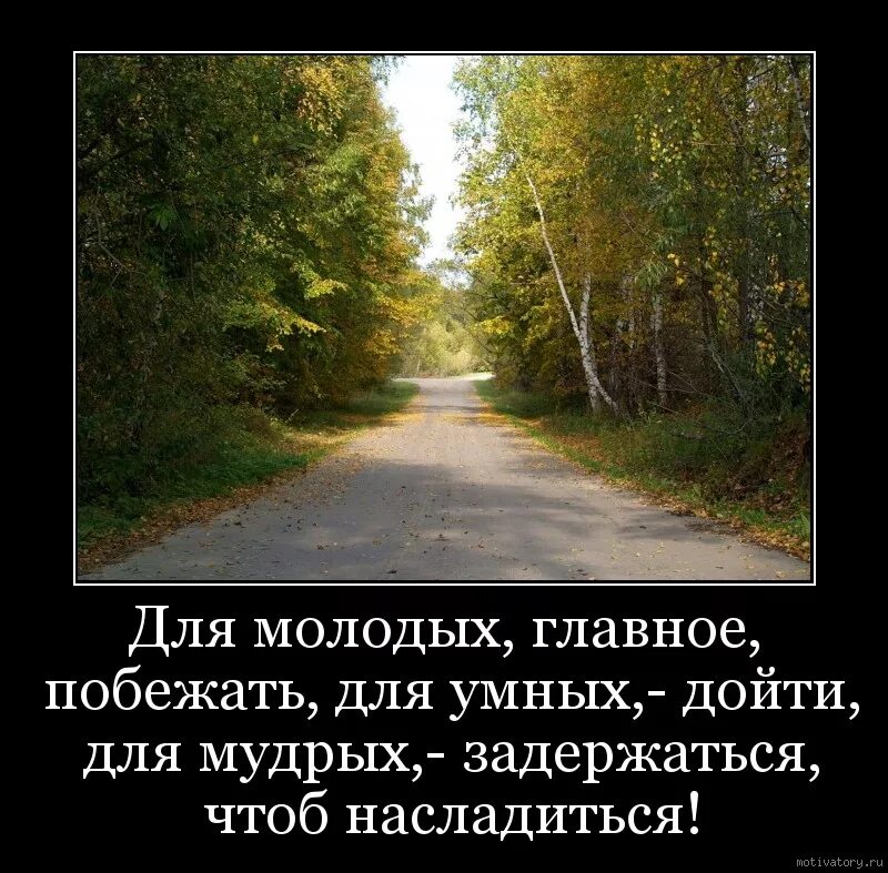 Выражения про путь. Цитаты про дороги. цитаты про дорогу. по дороге цитаты. высказывания про путь.