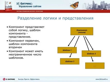 Сайт раздельная
