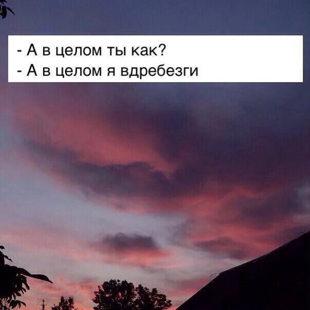 В целом мне понравилось. Ты как я вдребезги. Иногда накрывает. А В целом ты как я вдребезги. Знаешь иногда накрывает.