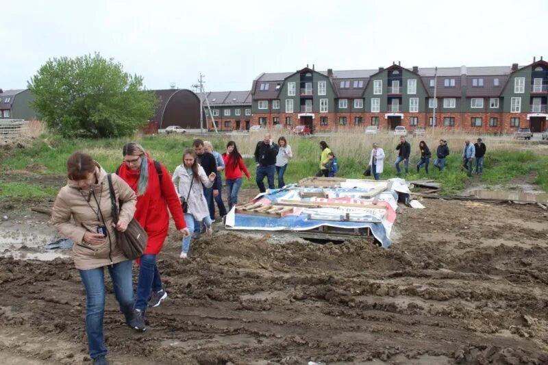 Кузнецов Пригородный простор. Дмитровские просторы.