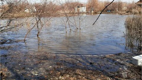 Елшанка саратовская погода