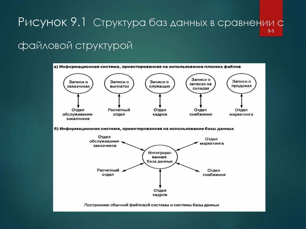 Структура файла базы данных. Файловая БД. База данных файловая система. Концептуальный уровень базы данных. Маркетинговая база данных