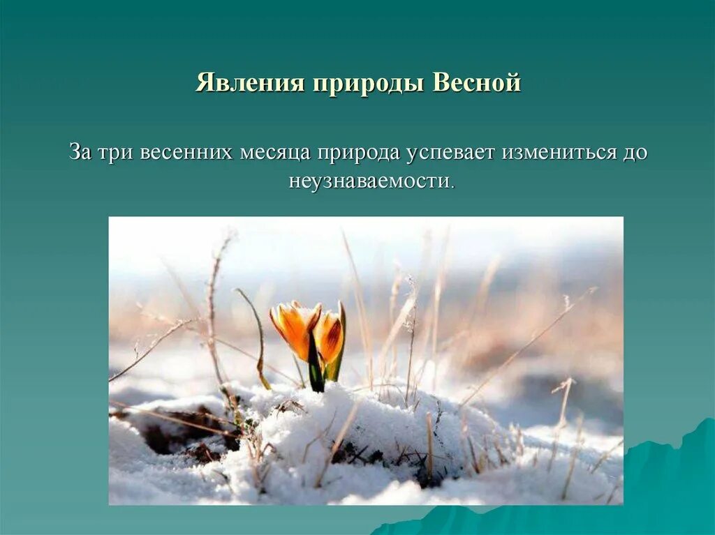 Весенние явления в неживой природе 2 класс. Весенние явления природы. Сезонные явления весной. Явления живой природы весной.