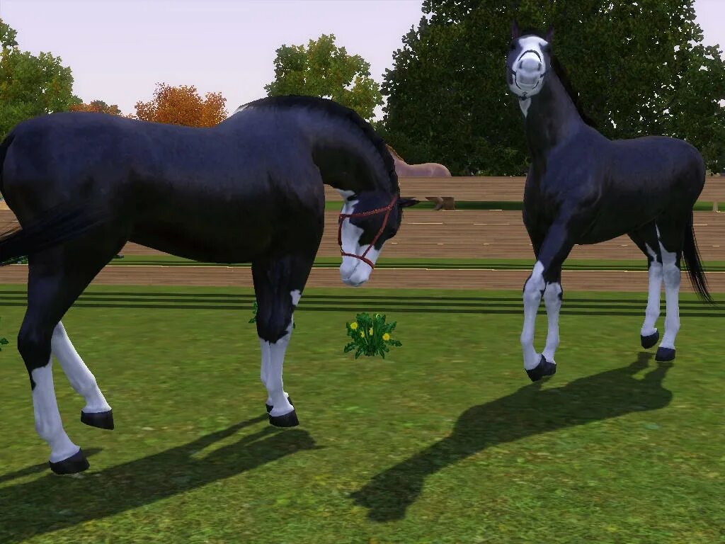 Horse sim. SIMS 3 Horse. Симс 3 лошади. Симс 3 питомцы лошади. Симс 3 Horses.