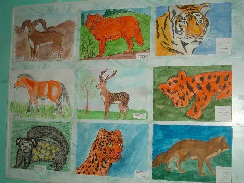 Занятие в подготовительной группе красная книга. Рисунок животного. Детские рисунки животных. Рисунок на тему животный мир. Рисунки краснокнижных животных.