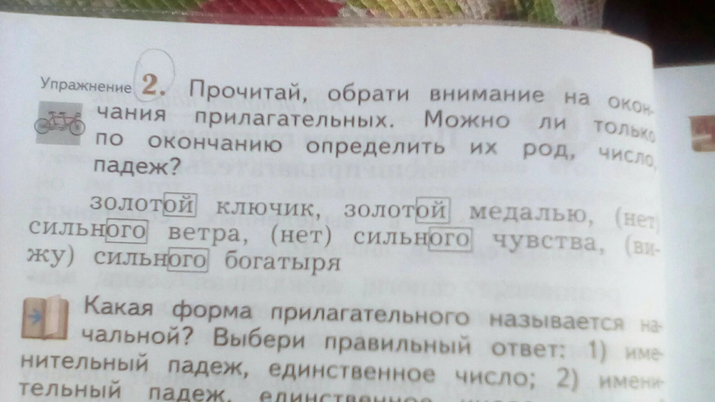 Сильного род число падеж. Определить род число падеж прилагательного. Золотой род число падеж. Золотой определить род число падеж. Падеж слова золотые.