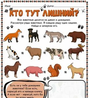 Какое имя лишнее в ряду