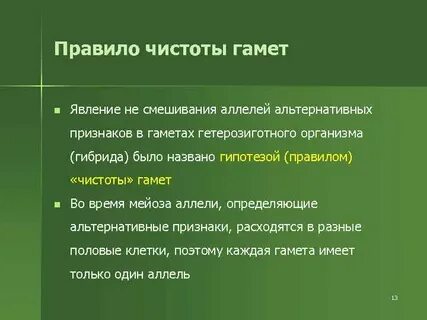 Гипотеза чистоты