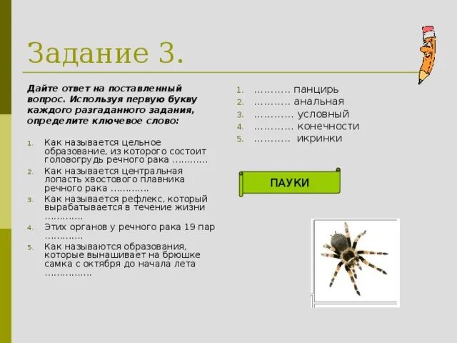 Задание пауки. Задания по паукообразным. Паукообразные задания. Задачи паукообразных. Тест паукообразные 7 класс