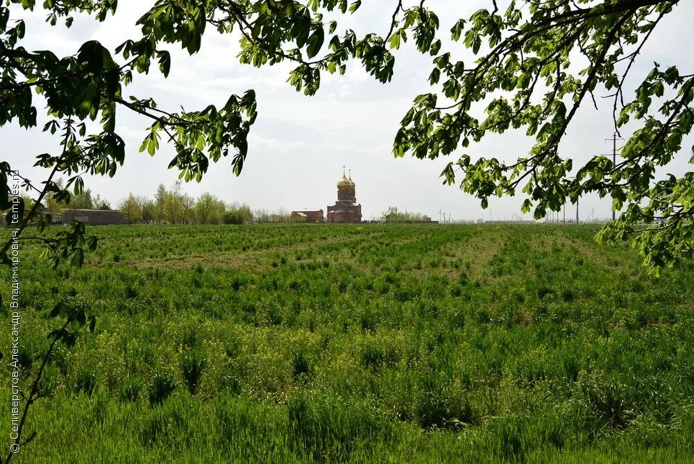 Славянский район Краснодарский край. Славянский район Кубань. Церковь Пантелеимона целителя в Славянске-на-Кубани. Храм целителя Пантелеимона в Славянске на Кубани.