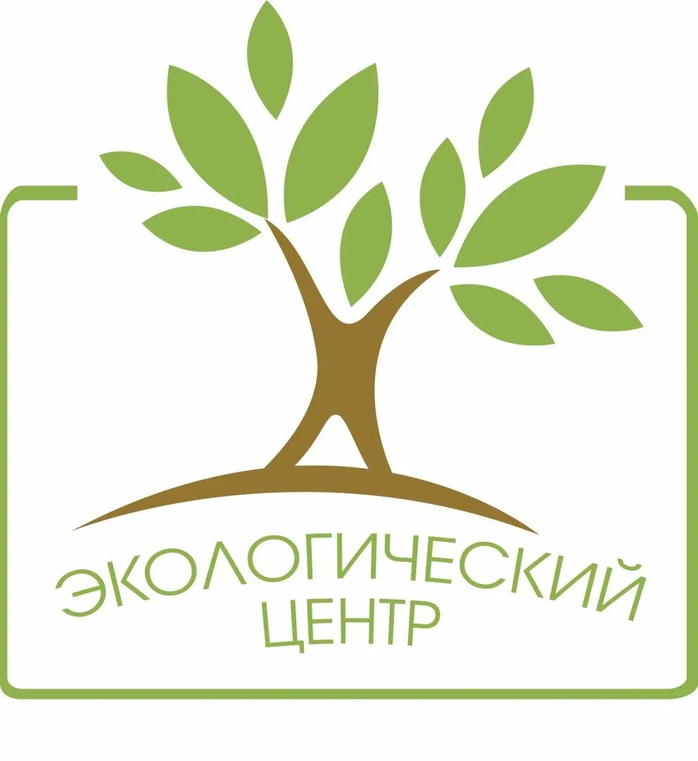 Компания дерева