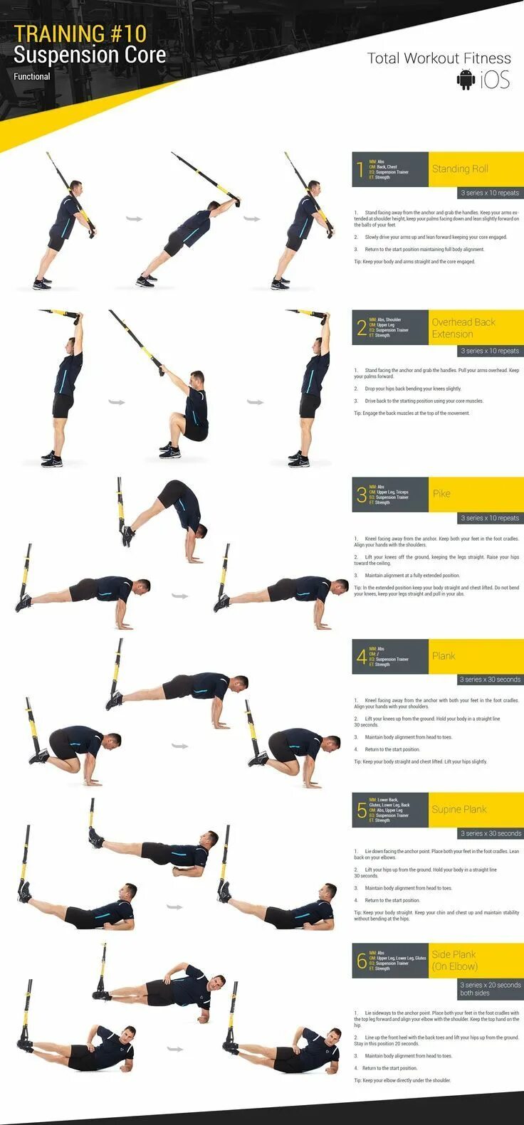 Training of h