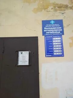 Номер телефона володарского