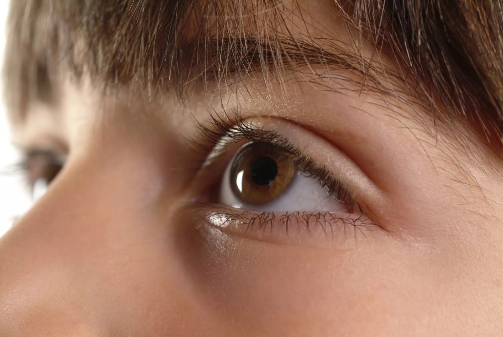 дети с карими глазами. Pupula duplex двойной зрачок. глаз. 4 глаза. полулунная складка (третье веко).