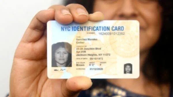 Finals id. NYC ID. NYC identification Card. Мексика ID Card. ID Card UAE.
