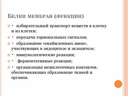 Какую функцию выполняют белки в мембране клетки