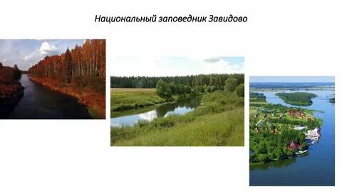 Завидовский государственный заповедник расположен