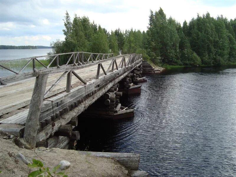 Суккозеро карелия. Озеро Суккозеро Карелия. Озеро Гимольское Карелия. Суккозеро Муезерский район. Поселок Муезерка Карелия.