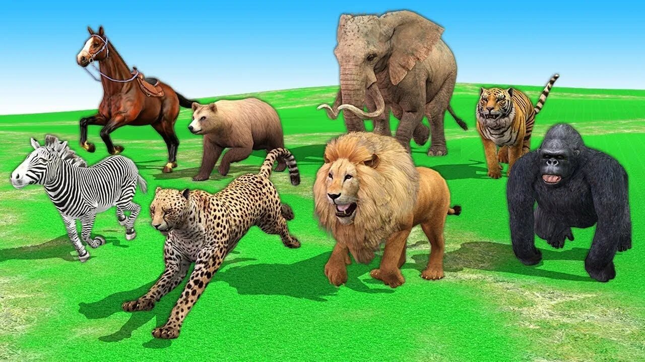 Вилд Энималс. Wild animals for children. Animals Race. Wild animals Kids. Wild wordwall