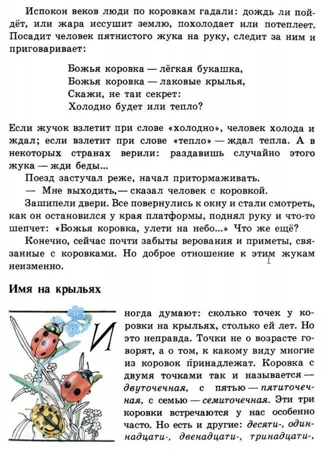 зеленые страницы рассказ солнышко 2 класс. зеленые страницы солнышко. зелёные страницы 2 класс окружающий мир рассказ солнышко. рассказ солнышко из книги зеленые страницы. зелёные страницы 3 класс окружающий мир рассказ о божьих коровках.