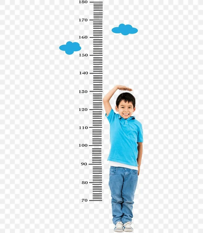 Complete height. Рост человека. Отметки роста детей. Шкала роста человека. Человек меряет рост.