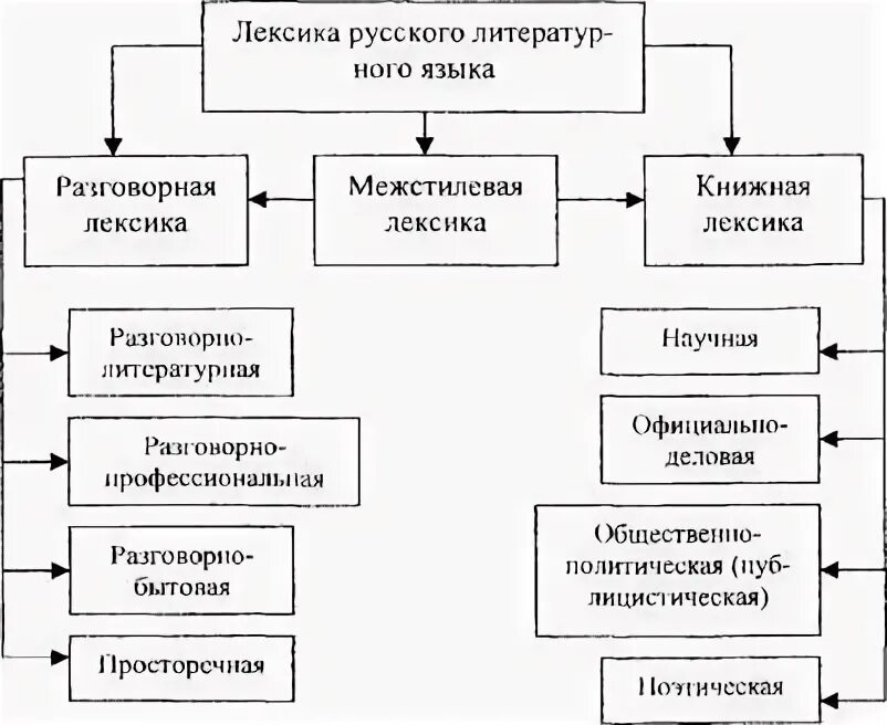 Классификация лексики русского языка. Стилевое расслоение лексики современного русского языка. Лексикология классификация лексики. Классификация русской лексики. Функционально-стилистическая окраска.