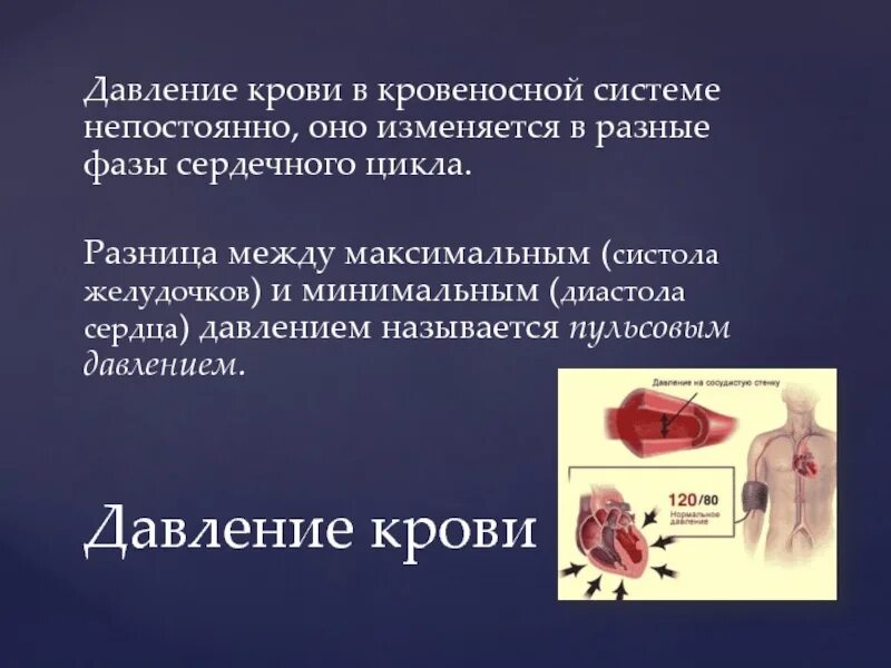 Возврат жидкости в кровеносную систему. Давление крови в кровеносной системе. Разница между максимальным и минимальным давлением крови называется. Давление крови презентация 8 класс. Сообщение о движении крови.