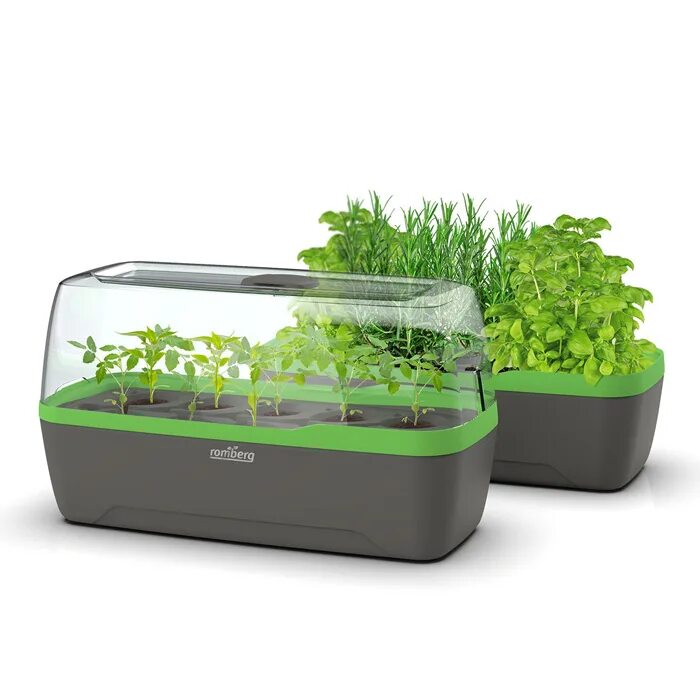 Установка для микрозелени. Стеллаж с автополивом для микрозелени. green basics elho мини парник. автополив для микрозелени. romberg boqube l plus.