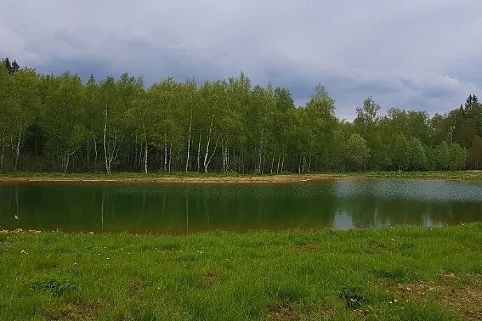 Ситники. Коттеджный поселок ситники. Деревня подоистрово. Бц ситники. Октава поселок.