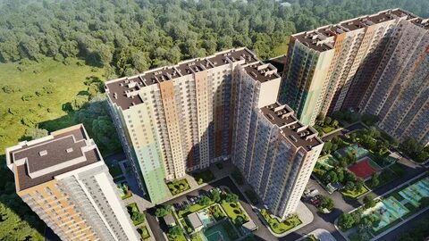 Митино муравская