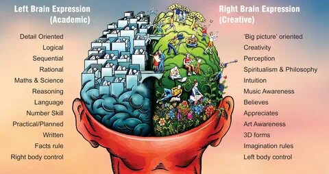 Brain side
