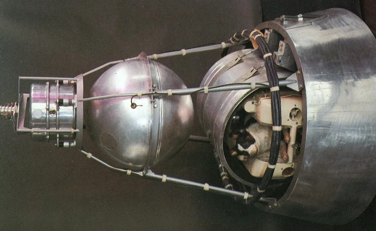 Второй советский спутник. Спутник-2 космический аппарат с лайкой. Спутник-2 космический аппарат 1957. Спутник 2 СССР. Собака лайка на спутнике 2.