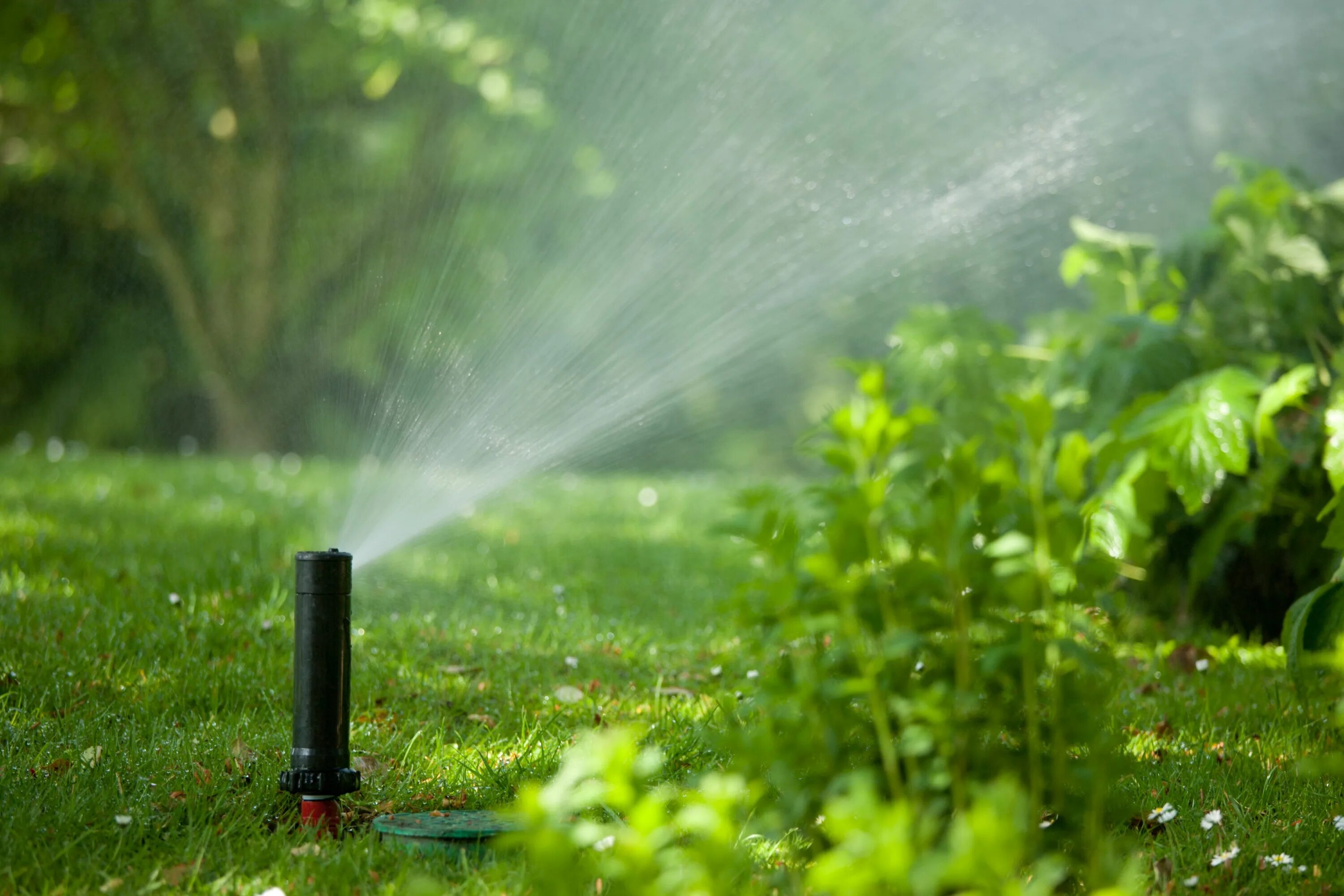 Автополив уфа. Автополив аргус. система автополива газона. система автоматического полива. спринклеры для полива газона выдвижные.