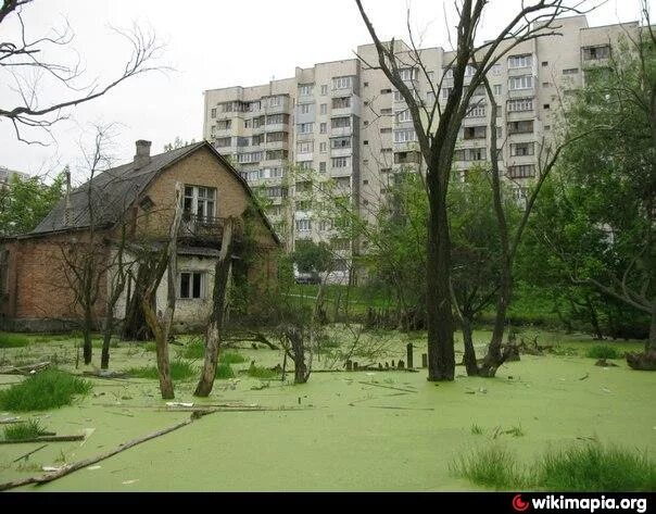 Дом рядом с болотом. Дома на болоте. Болотный домик. Киев болото.