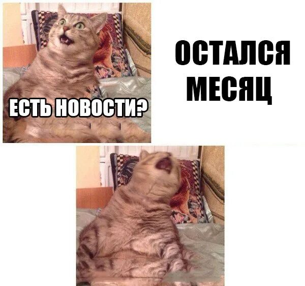 Квантунская армия 9 августа 1945. Петра первого над шведами у мыса гангут (1714 год). 9 августа картинки. Сколько дней осталось до 10 августа. 9 августа осталось.