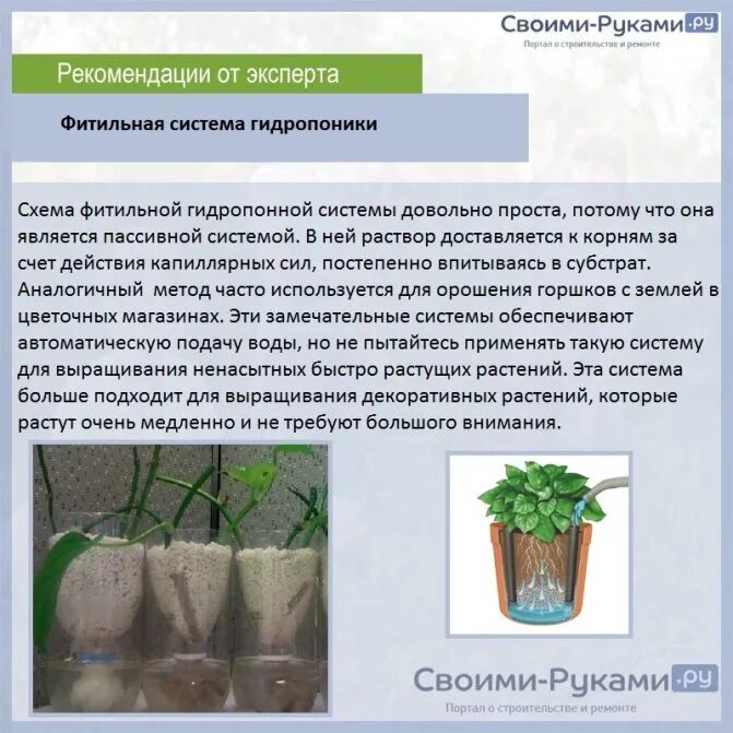 Практическая работа технологии выращивания растений. Фитильная система гидропоники. Методы выращивания. Растения без почвы. Комнатные растения на гидропонике.