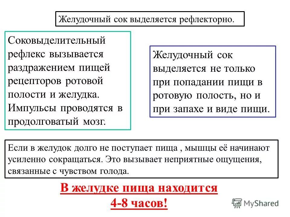 Почему выделяется желудочный сок. Желудочный сок выделяется. Желчный сок выделяется в. Когда выделяется желудочный сок.