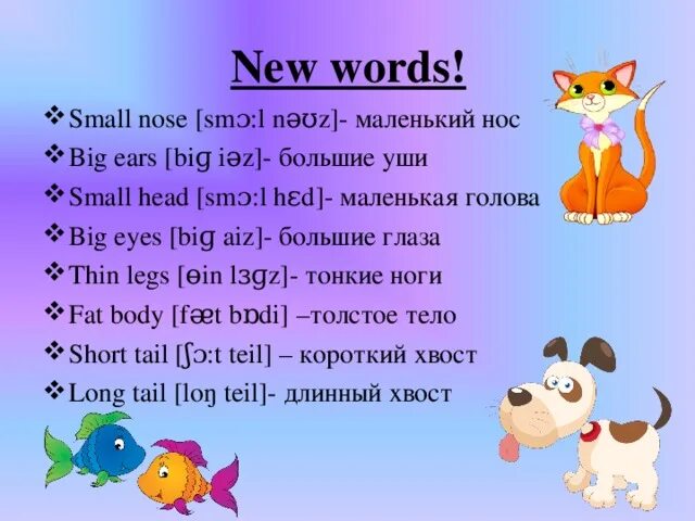 Small nose транскрипция. Маленький по английскому языку. Как описывать животных на английском языке. Транскрипция английских слов small nose. Small head на русском