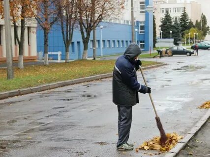 Проведение общественных работ
