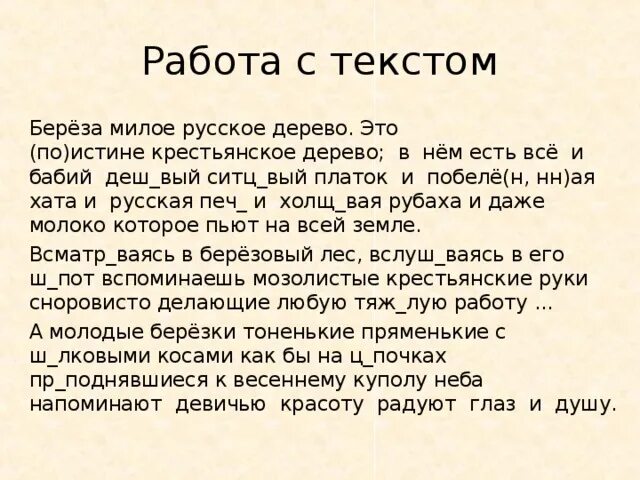 Береза милое русское. Берёза милое русское дерево. Берёза милое русское дерево наблюдая. Берёза милое русское дерево наблюдая в лесу. Списать текст береза милое русское дерево.