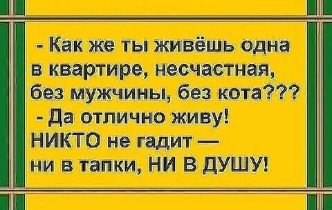 Без мужа что без головы